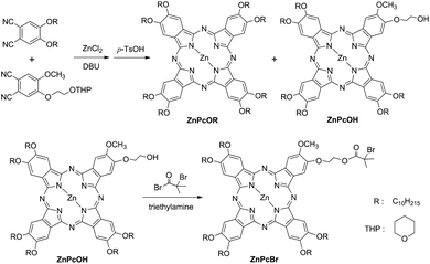 Synthetic route for the preparation of initiator ZnPcBr.