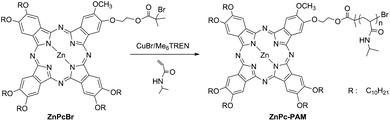 Synthetic route for the well-defined ZnPc-PAMviaATRP.