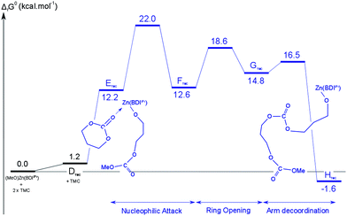 Calculated free-energy profile for the insertion of the second TMC molecule.