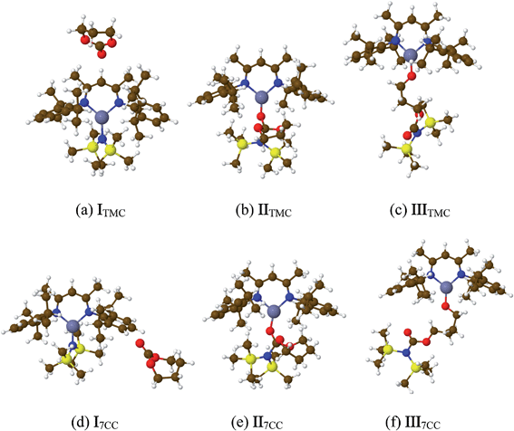 Optimized structures of complexes involved in the initiation step of the ROP of cyclic carbonates mediated by [(BDIiPr)Zn(N(SiMe3)2)].