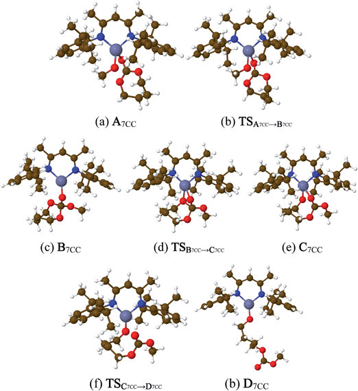 Optimized structures of complexes involved in the initiation step of the ROP of 7CC mediated by [(BDIiPr)Zn(OMe)].