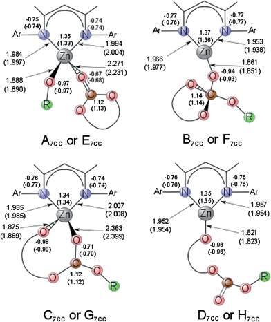 Comparison of the natural charges and the bond distances (in Å) of the minima structures involved in the ROP initiation (R = Me) and, in brackets, the first propagation (R = C4H8OC(O)OMe) step of 7CC mediated by [(BDIiPr)Zn(OR)] species (Ar = 2,6-diisopropylphenyl).