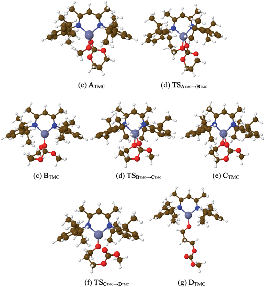 Optimized structures of complexes involved in the initiation step of the ROP of TMC mediated by [(BDIiPr)Zn(OMe)].