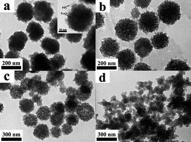 TEM images of PPy nanoclusters synthesized under different concentrations of HCl acid, while other parameters were equal: (a) 0.1 M, (b) 0.5 M, (c) 3.0 M and (d) 6.0 M. The PPy shell and Fe3O4 nanocluster were highlighted by arrows in the inset.