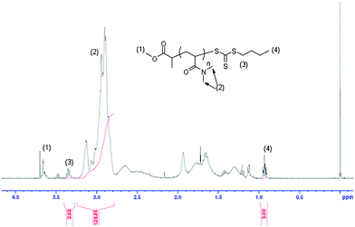 
            1H NMR spectrum of the precipitated PDMA macromolecular chain transfer agent in CDCl3.