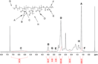 
            1H NMR spectrum of the block copolymer PNIPAM46-b-P(VDM6-co-DMA65).