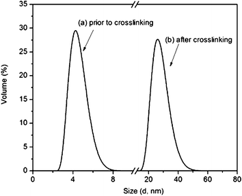 Particle size distributions from dynamic light scattering of PDMA23-b-P(VDM10-co-NIPAM46) copolymers in water at 25 °C (a) prior to crosslinking (b) after core-crosslinking of the self-assembled structures with diamine.