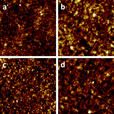 
          AFM topography images (5 μm × 5 μm) of solar cells based on blends of PCBM and (a) pristine PhxSDT-DTZ, Sa = 0.67 nm (b) PhxSDT-DTZ annealed at 225 °C, Sa = 0.71 nm (c) pristine PehSDT-DTZ, Sa = 0.69 nm (d) PehSDT-DTZ annealed at 225 °C, Sa = 0.81 nm.