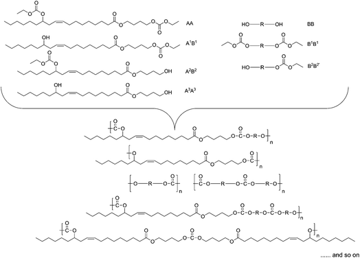 Possible monomer sequences in the repeat units of PECs.