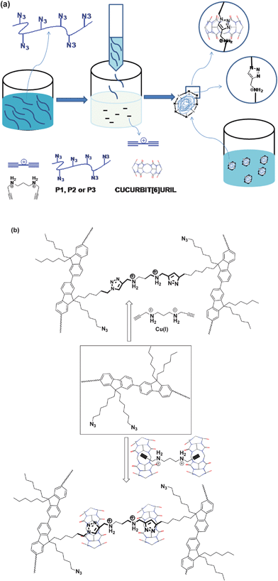 (a) A cartoon representation of the synthesis of the CPNs viaCu(I)-catalyzed or CB6-catalyzed click reactions; (b) detailed structures of the cross-linking of P1 through the Cu(I)-catalyzed or CB6-catalyzed click reactions. This also shows the structure of the rotaxanes formed through the CB6-catalyzed click reaction.