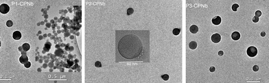 
          TEM images of, from right to left, P1-CPNb, P2-CPNb and P3 CPNb synthesized by the CB6-catalyzed click reaction.