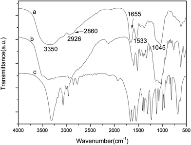 FTIR spectra of (a) HPKM, (b) kanamycin sulfate, and (c) MBA.