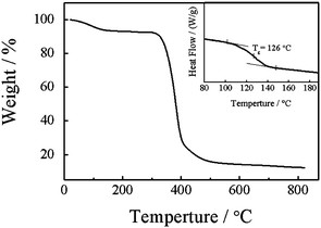 
          TGA and DSC (inset) curves for the nylon 3 (sample Ny4).