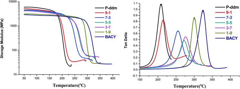 DMA diagrams of different polymeric systems; P-ddm : BACY = 9 : 1, 7 : 3, 5 : 5, 3 : 7, 1 : 9 (from top to bottom).