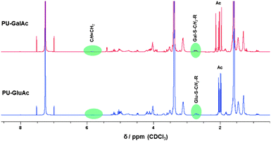 
          1H NMR spectra of the glucose and galactose-modified polyurethanes using thiol-ene chemistry.