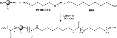 Schematic representation of the polyurethanes synthesized using differently functionalized chain extenders.