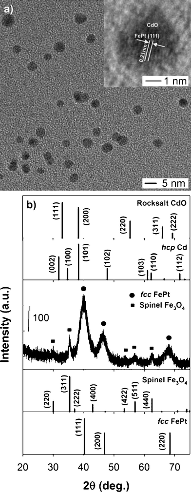 (a) TEM image of intermediate NPs (B). The inset shows a HRTEM image of a single NP. (b) XRD pattern of intermediate NPs with reference peaks for fccFePt (JCPDS card no. 00-029-0718), Fe3O4 (01-079-0419), Cd (00-005-0674) and CdO (003-065-2908). Composition measured by EDS is Fe:Pt:Cd = 37 : 38 : 25.