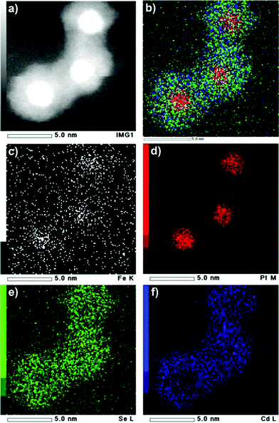 
            HAADF-STEM image (a) and EDS elemental mapping images of FePt@CdSe260 NPs (b–f): overlay (b) of Fe K edge (c), Pt M edge (d), Se L edge (e), and Cd L edge (f) illustrates the core–shell structure of the FePt@CdSe NPs.