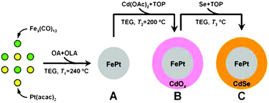 Synthetic approach towards FePt@CdSe core–shell NPs.