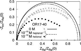 
            Nyquist plot of human OR 17-40 in the absence and presence of a specific ligand (heptanal, helional). The impedances are normalized to the static value of the native state, stack ZnatRe(0) = 33 KΩ cm2. Symbols pertain to experiments with: crosses referring to no odorant, empty (full) squares to an heptanal (helional) concentration of 10−10 M at room temperature.14,15 Curves pertain to theoretical results with: the continuous curve referring to the native state configuration as input data with Rc = 70 Å and the dashed line referring to the activate state configuration with Rc = 46 Å.