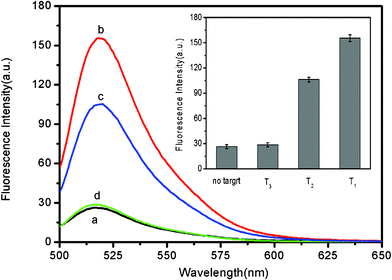 
          Fluorescence emission spectra of PHIV (50 nM) at different conditions: (a) PHIV–FePNP complex; (b) PHIV–FePNP complex + 300 nM T1; (c) PHIV–FePNP complex + 300 nM T2; (d) PHIV–FePNP complex + 300 nM T3. Inset: fluorescence intensity histograms with error bars. Excitation was at 480 nm, and the emission was monitored at 522 nm. All measurements were done in Tris-HCl buffer in the presence of 5 mM Mg2+ (pH: 7.4).