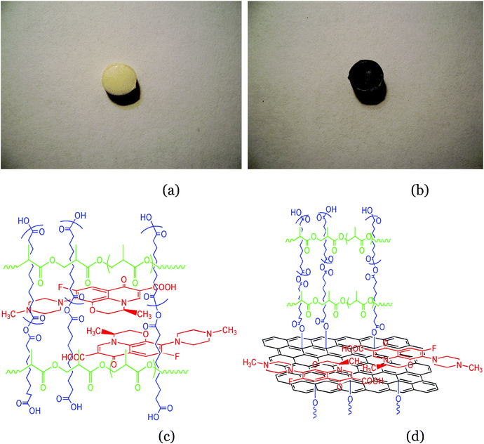 Images of the pill containing pure PSA (a), containing 1% GO/PSA (b); structure profile of the pill containing pure PSA (c), containing 1% GO/PSA (d).