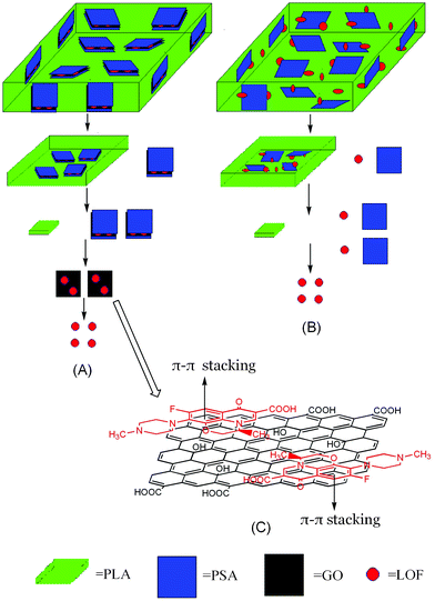 A schematic illustration of release mechanism for the pill contain GO/PSA (A), contain pure PSA (B), the interaction of π–π stacking between GO and PSA (C).