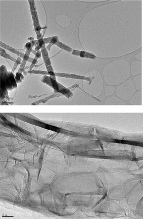 Typical SEM images of the SCNR whiskers.