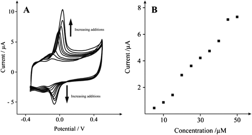 A: Typical cyclic voltammetric responses from the electrochemical oxidation of dopamine 10–50 μM at a solid carbon nanorod (SCNR) whiskers (75 μg) modified SPE in 0.1 M PBS at pH 7 vs.Ag/AgCl at 0.005 Vs−1. Part B depicts analysis of A in the form of peak height vs. concentration.