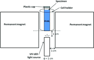 Schematic diagram of the experimental apparatus.