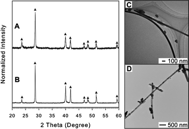 
              XRD patterns and TEM images of Sb NWs synthesized using OAM (A and C) and OAC/OAM (B and D). In the case of using DT, no solid particles can be obtained. The upright filled triangles (▲) indicate peaks assigned to Sb with rhombohedral structure (JCPDS card no. 01-085-1322) in the XRD pattern (A and B) (for detail see ESI, Table S4 and S5).