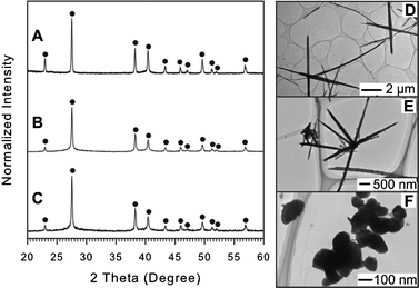 
              XRD pattern and TEM images of resulting NPs synthesized using OAM (A and D), OAC/OAM (B and E), and DT (C and F). The XRD peaks are labeled by filled circle (●) for hexagonal structured Te (JCPDS card no. 036-1452). For detail, see ESI, Table S6–S8.