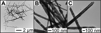 
            TEM images of trimetallic NWs synthesized using OAM as capping species with 1 : 1 molar ratio of precursors and OAM. Image (A) shows the zoomed out view of the synthesized NWs, (B) shows a magnified view of the NWs which have a narrow diameter and are smooth, and (C) shows NWs with some smaller NPs at the surface and the tip of NWs.