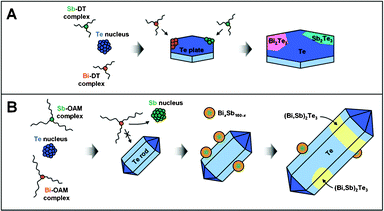 Schematic illustration of formation mechanisms for (A) Te/Bi2Te3/Sb2Te3 phase-segregated NDs synthesized using DT as a capping system and for (B) Te/(Bi,Sb)2Te3 NWs synthesized using OAM as a capping system.