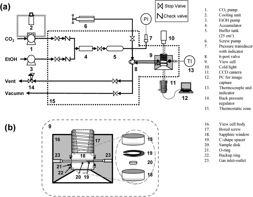 (a) Schematic diagram of apparatus for swelling observation of PDLLA in EtOH–CO2 mixtures. (b) Close-up of the view cell.