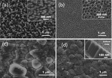 (a–b) SEM top-views of TiO2nanotubular arrays obtained on ITO-PET in 0.5 wt.% NH4F and 2 mol L−1H2O in glycerol at (a) 25 V and (b) 70 V. (c) Rough alumina substrate in which the single grains are visible. (d) SEM images of nanotubular arrays on rough alumina substrates anodized in 0.5 wt.% NH4F, 2 mol L−1H2O in glycerol at 50 V. Conformal grain decoration is visible. Insets in (a), (b) and (d): magnified pictures.