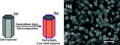 (a,b) The illustration of the synthesis of ZnO nanorods; (c) SEM image of ZnO nanorods.