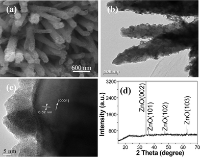 (a) SEM, (b) TEM, (c) HRTEM, and (d) XRD of ZnO/Bi2O3 core-shell nanorods.