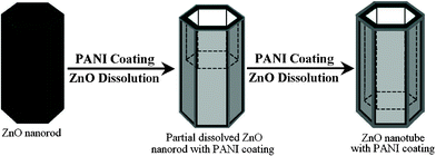 The formation mechanism of ZnO/PANI hybrid nanotubes.