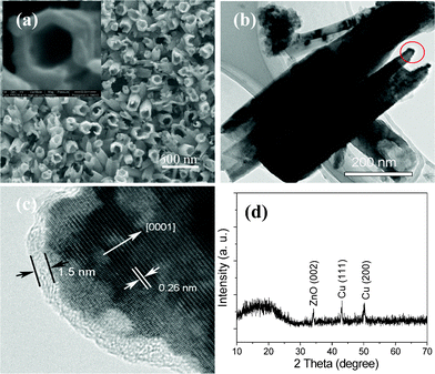 (a) SEM image, (b,c) TEM images, and (d) XRD pattern of ZnO/PANI core/shell nanotubes.