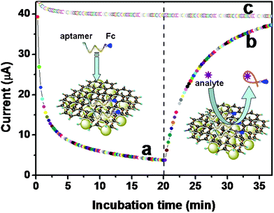 Chronoamperometric responses of (a) the binding of Fc-P0 with the MGP, (b) target-induced release of Fc-P0 from the MGP, and (c) the binding and release of the aptamer without the labeled Fc from the MGP in pH 7.4 PBS.