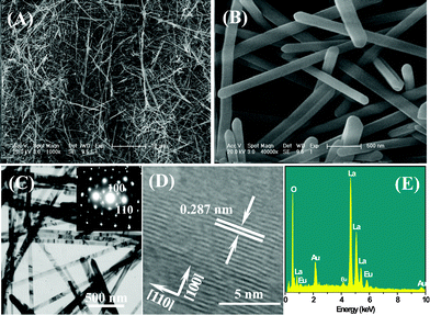 (A) Low-magnification and (B) high-magnification FE-SEM images of the as-prepared ultralong La(OH)3:Eu3+ nanowires; (C) TEM image of La(OH)3:Eu3+ nanowires (inset shows the SAED pattern of an individual nanowire); (D) HRTEM image of a part of an individual nanowire, and (E) EDS of La(OH)3:Eu3+ nanowires.