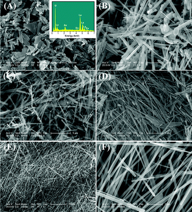 (A) Low-magnification and (B) high-magnification FE-SEM images of La(OH)3:Eu3+ samples obtained by CHM reaction for (A) 1 h (insert shows the EDS pattern), (B) 6 h, (C) 12 h and (D) 24 h. (E) Low-magnification and (F) high-magnification FE-SEM images of as-formed La(OH)3:Eu3+ nanowires by CHM reaction for 72 h.