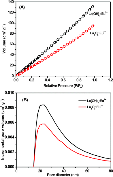 (A) N2 adsorption (•) and desorption (○) isotherms and (B) the BJH pore size distributions for La(OH)3:Eu3+ and La2O3:Eu3+ nanowires.