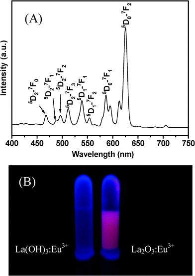 (A) Room temperature PL emission spectrum of La2O3:Eu3+ nanowires under excitation at 283 nm; (B) digital image of La(OH)3:Eu3+ and La2O3:Eu3+ nanowires under a 310 nm UV lamp irradiation.