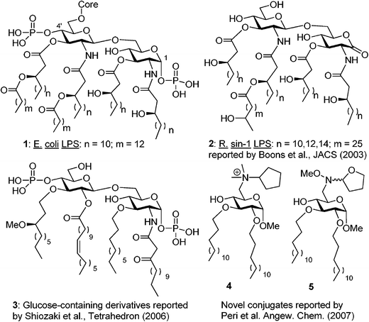 Structures of the Lipid A region of E. coli LPS (1 and structural mimetics thereof (2–5).