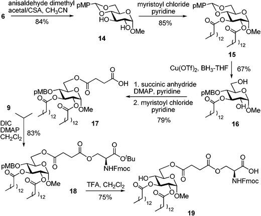 Synthesis of monosaccharide–fatty acid–amino acid conjugate 19, a lipidated analog of compound 11.