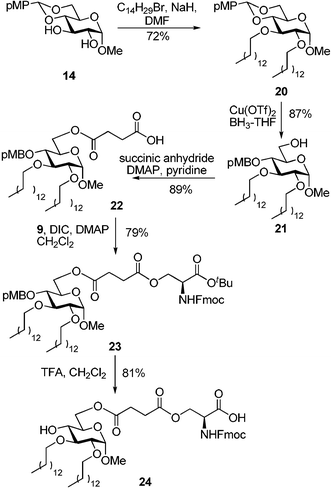 Synthesis of the monosaccharide–alkyl–amino acid conjugate 24, an alkylated analog of compound 11.