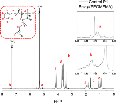 
            1H NMR of control P1: Bnz-p(PEGMEMA).