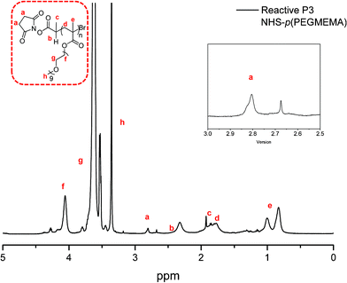 
            1H NMR of reactive P3: NHS-p(PEGMEMA).